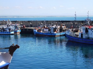 St Frances Feb 2013 Ski-Boat Club 12